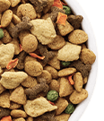 صفحه اصلی فروشگاهی 11 pet food shop