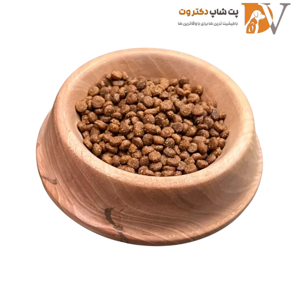 غذای خشک گربه مفید ۱۰ کیلوگرمی