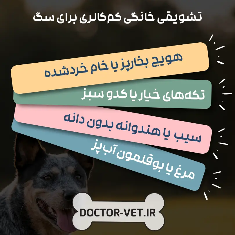 🍏 تشویقی کم کالری سگ چیست؟ بررسی انواع، مزایا و نکات مهم 🐶 2 تشویقی خانگی کم کالری برای سگ