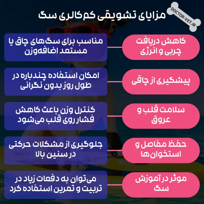 🍏 تشویقی کم کالری سگ چیست؟ بررسی انواع، مزایا و نکات مهم 🐶 1 تشویقی کم کالری سگ