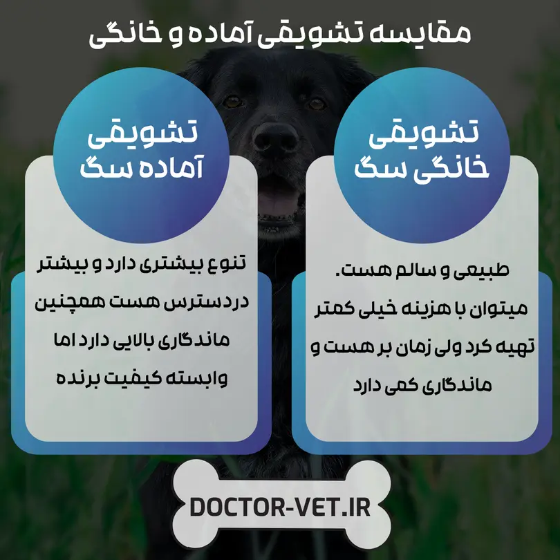 🍗 مقایسه تشویقی خانگی و آماده برای سگ ها🐕راهنمای انتخاب هوشمندانه 2 مقایسه تشویقی خانگی و آماده برای سگ ها