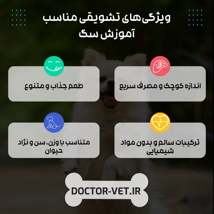 چرا تشویقی سگ برای آموزش بهترین روش تربیت است؟ 1 چه نوع تشویقی برای آموزش سگ بهترین