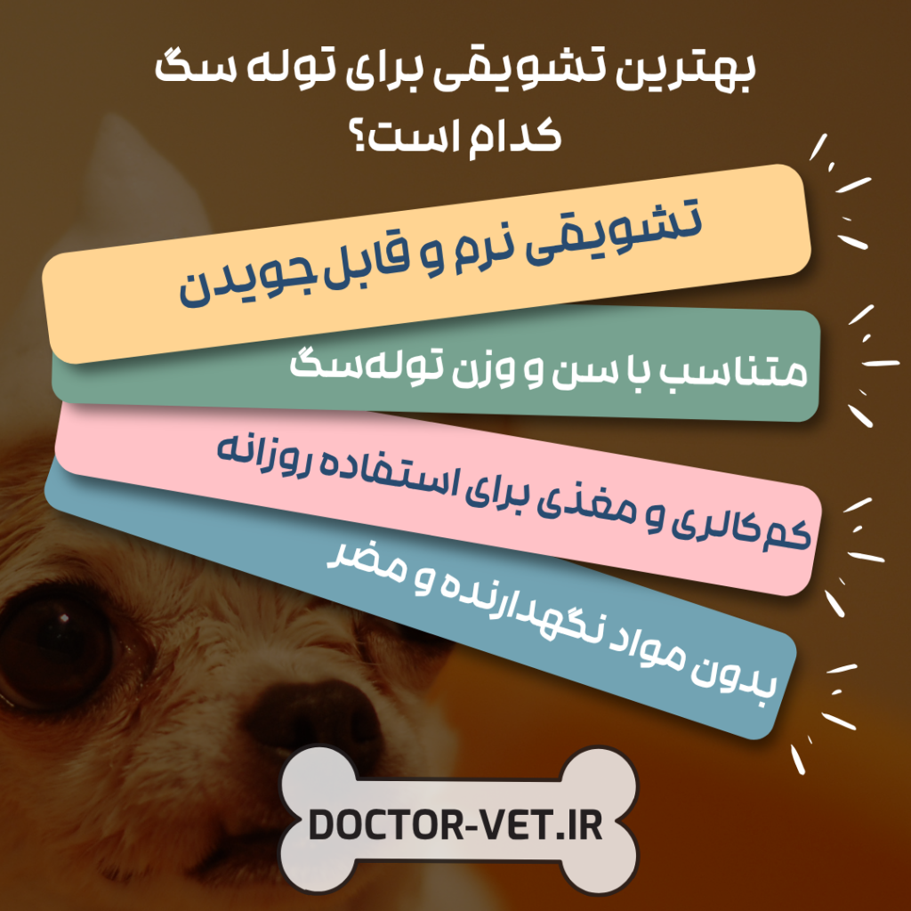 🐶5 گزینه از بهترین تشویقی برای توله سگ در 2025 — راهنمای انتخاب و خرید 1 بهترین تشویقی برای توله سگ کدام است؟