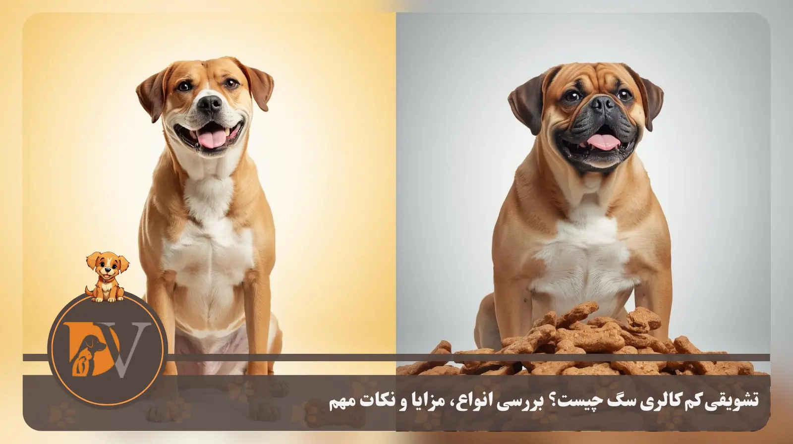 تشویقی کم کالری سگ