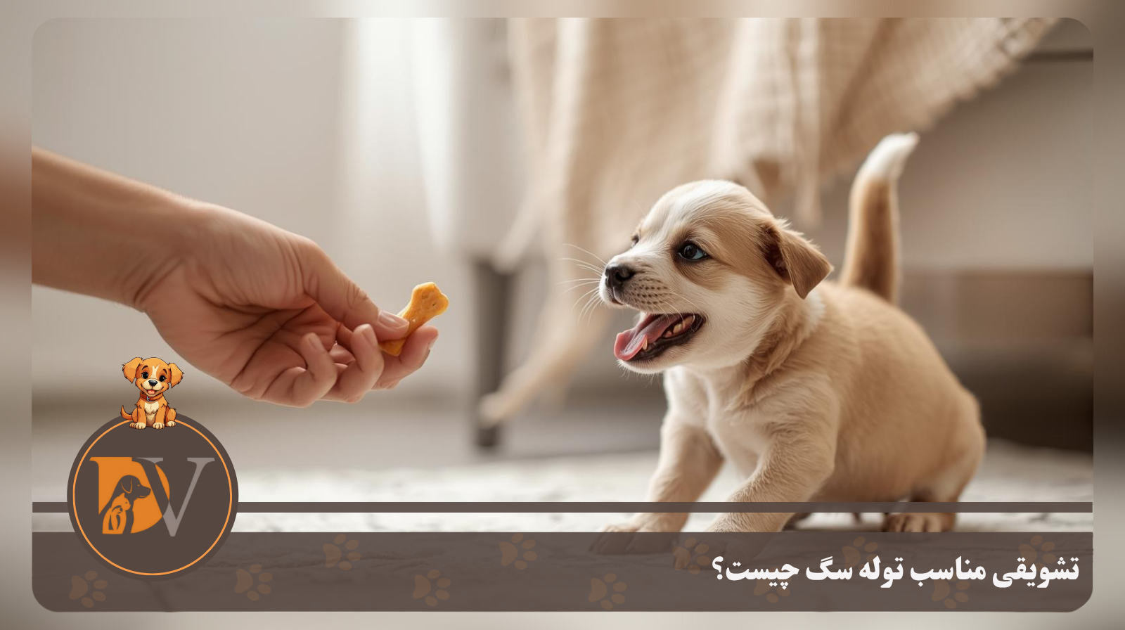 بهترین تشویقی برای توله‌ سگ کدام است؟