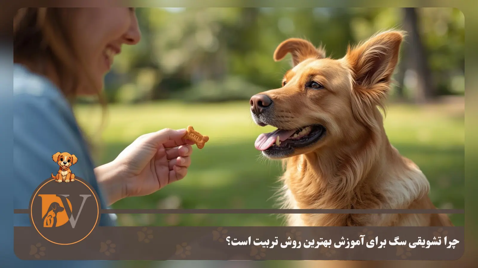 تشویقی سگ برای آموزش