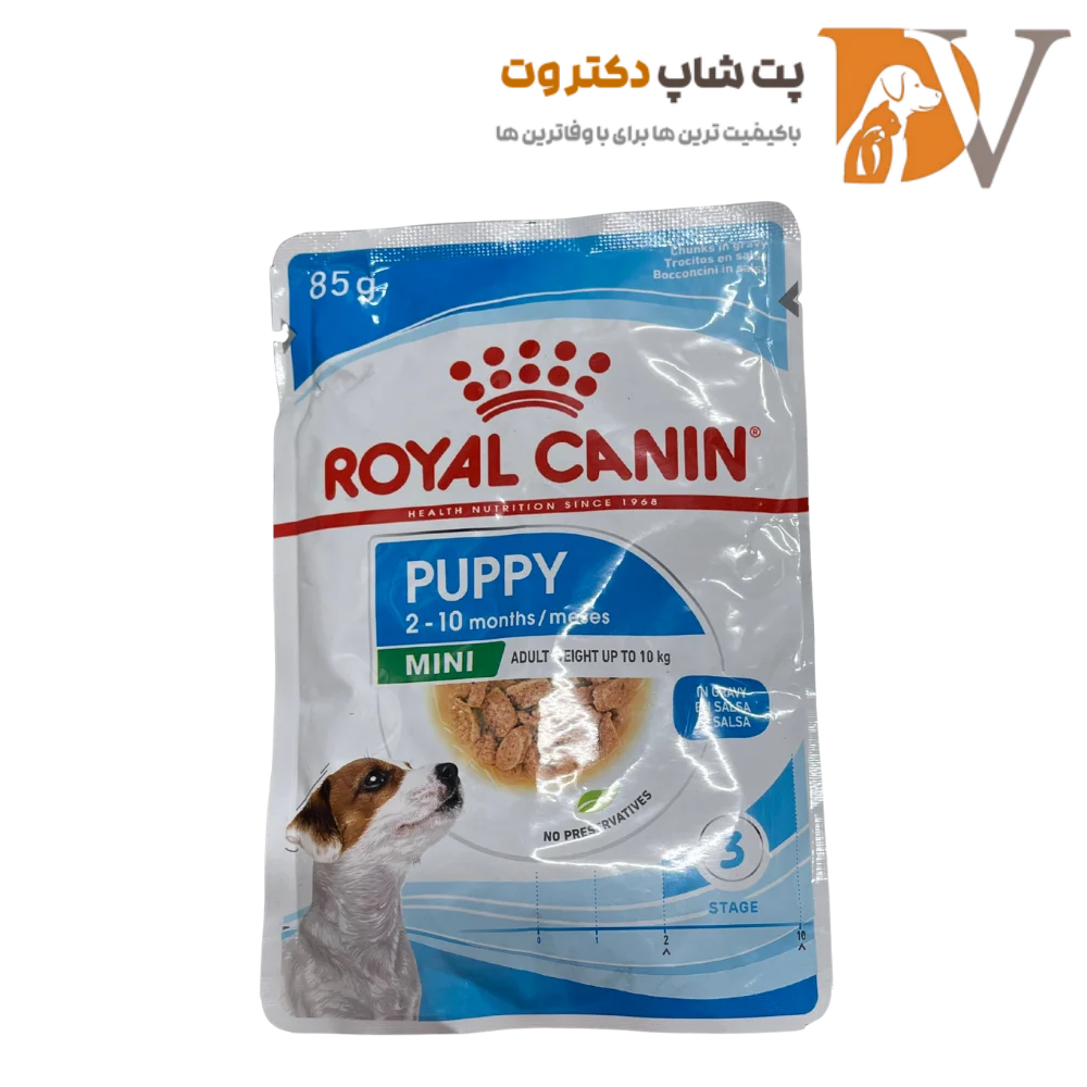 پوچ سگ توله سگ نژاد کوچک رویال کنین
